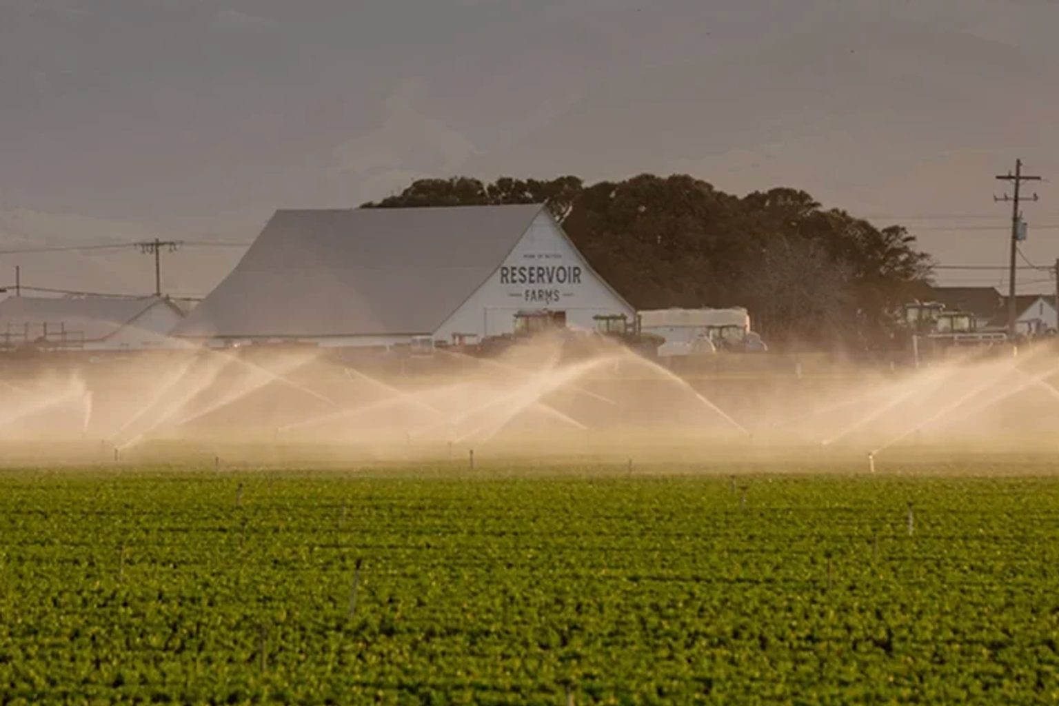 Registration Opens for 2026 Organic Grower Summit: Two-Day Event Set for December