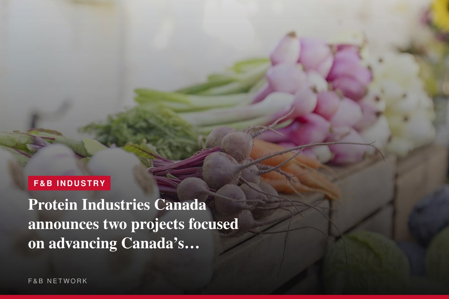 Protein Industries Canada announces two projects focused on advancing Canada’s domestic food production capacity